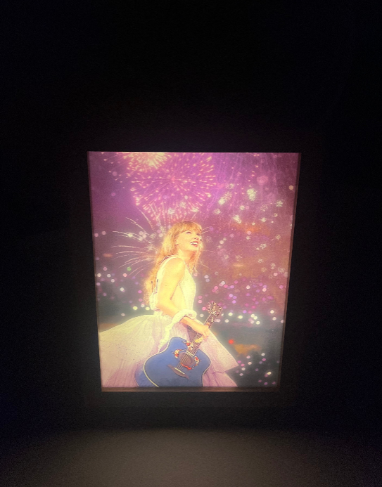 Taylor-Inspired LED Paintings